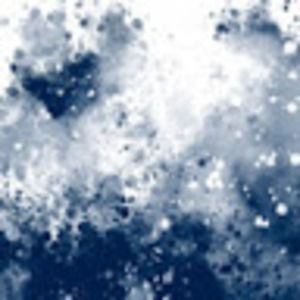 Meet your Posher, Tess